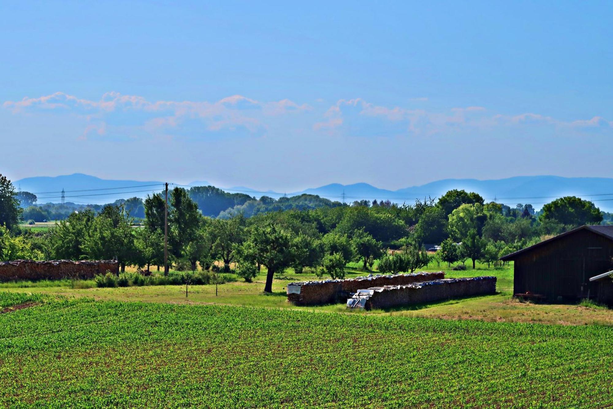 Gaestehaus Heimelig Herbolzheim Exteriér fotografie